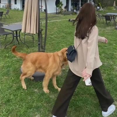 恶烂狂人